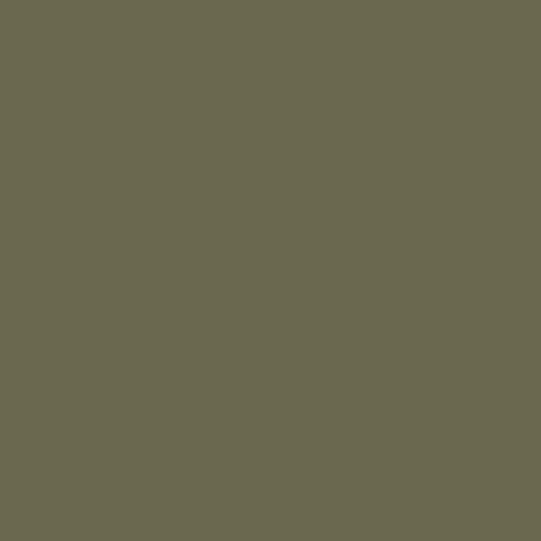 EGGER U645