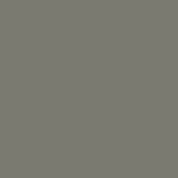 EGGER U669